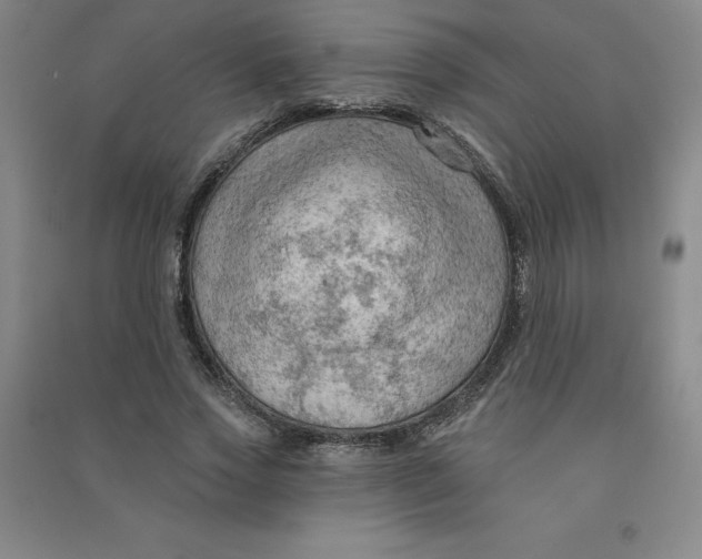 X0000090910733200708201741