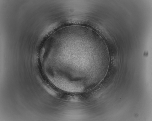 X0000090910735200708201741