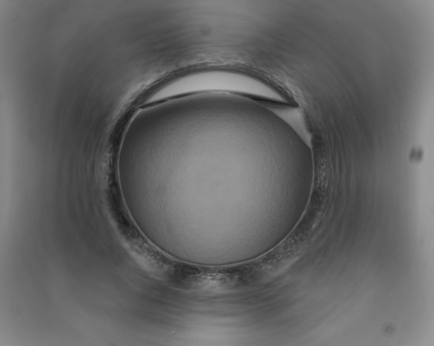 X0000090910736200708201741