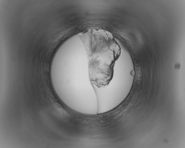 X0000090910737200708201741