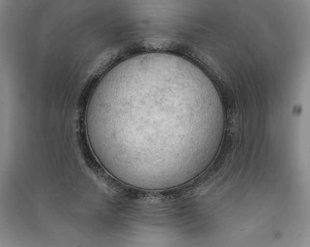 X0000090910738200708201741