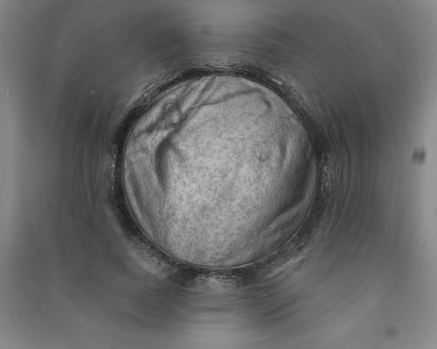 X0000090910739200708201741