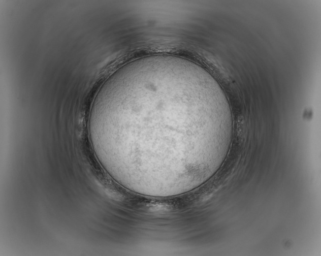 X0000090910741200708201741