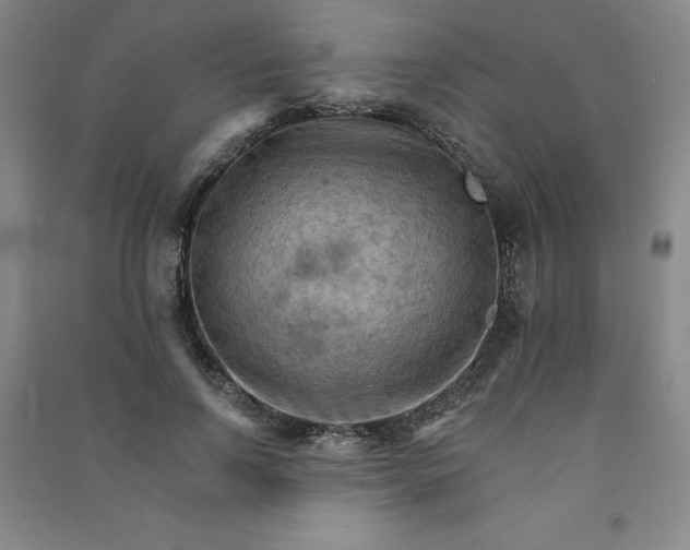 X0000090910742200708201741