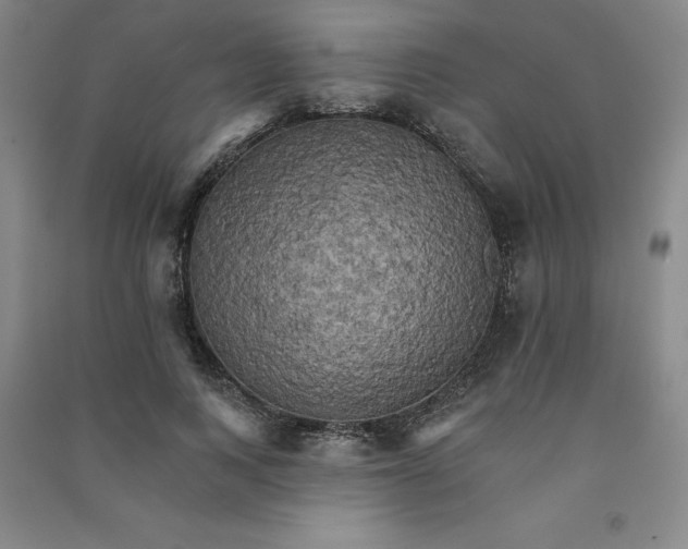 X0000090910743200708201741