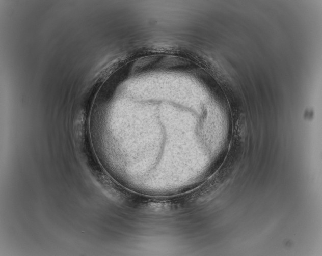 X0000090910744200708201741