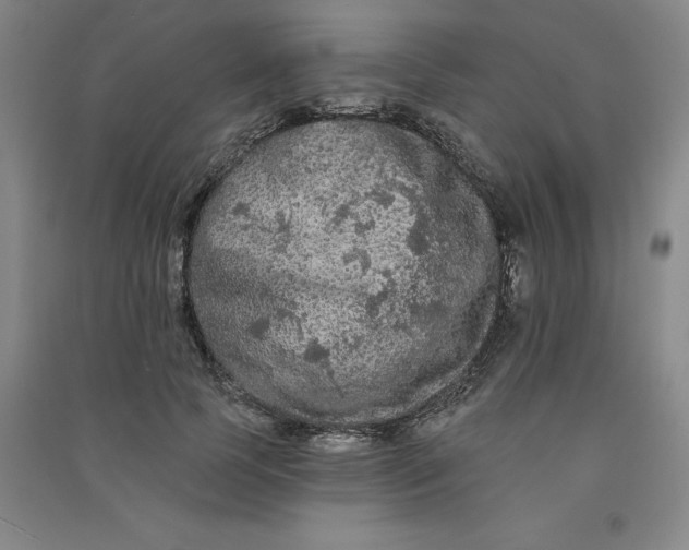 X0000090910745200708201741