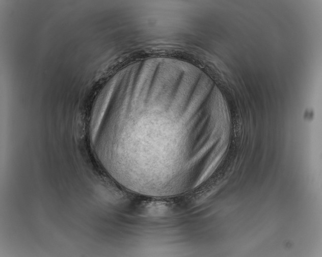 X0000090910751200708201741