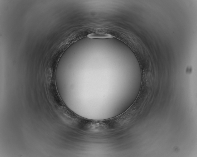 X0000090910752200708201741