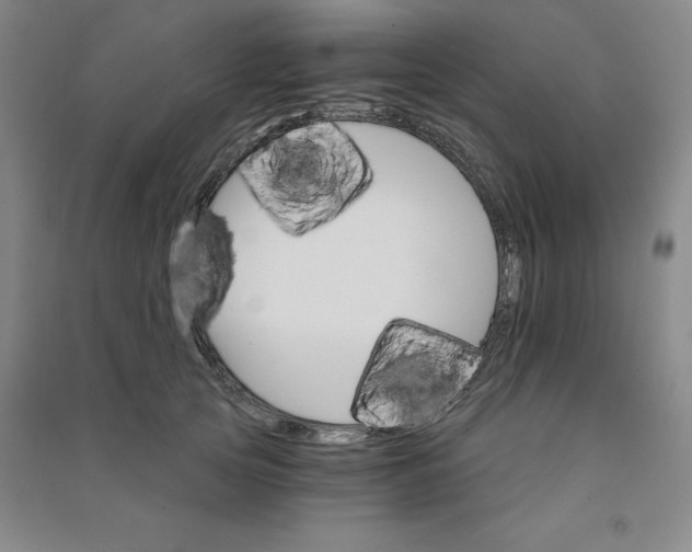 X0000090910753200708201741