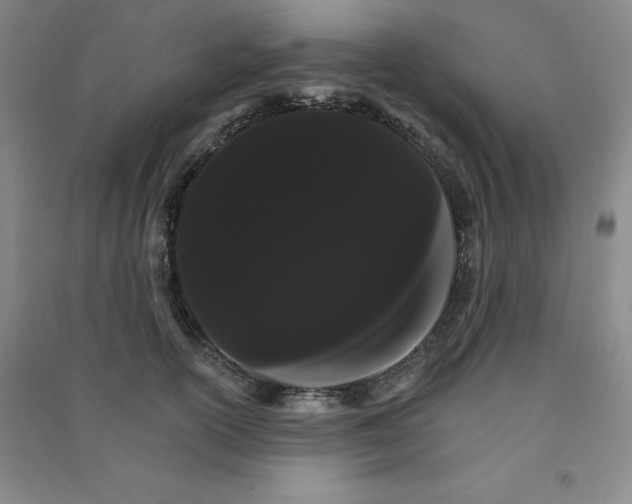 X0000090910754200708201741