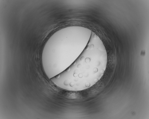 X0000090910755200708201741