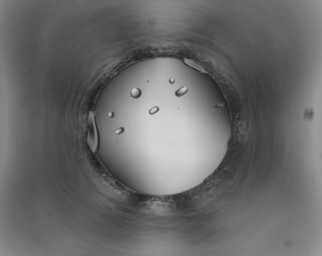 X0000090910756200708201741