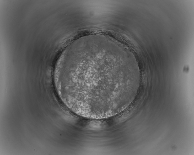 X0000090910757200708201741