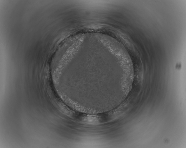 X0000090910758200708201741