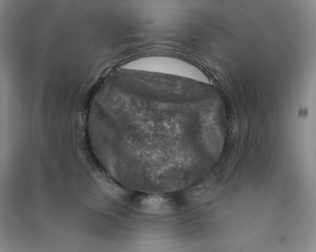 X0000090910759200708201741