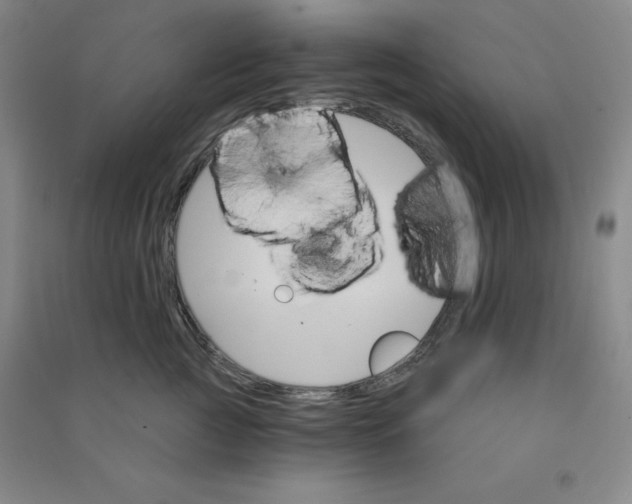 X0000090910761200708201741