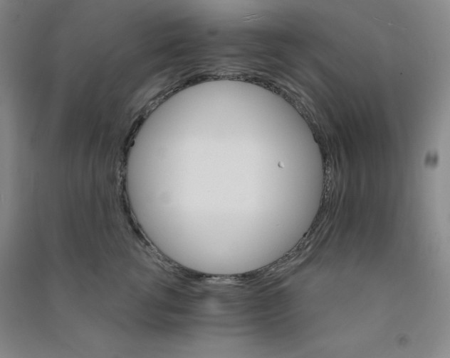 X0000090910762200708201741