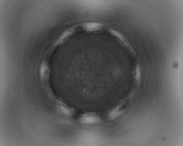 X0000090910763200708201741