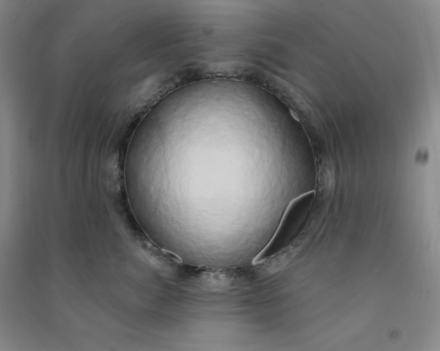 X0000090910764200708201741