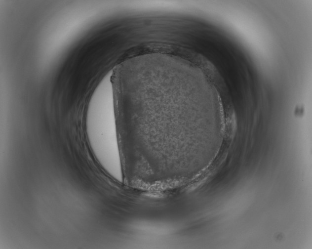 X0000090910765200708201741