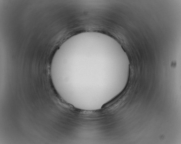 X0000090910766200708201741