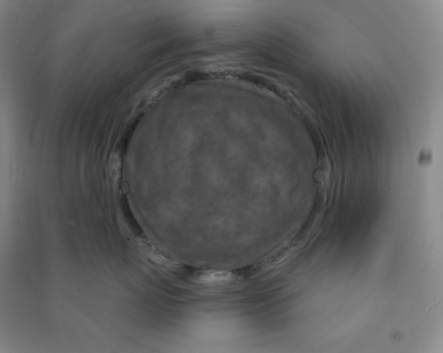 X0000090910767200708201741