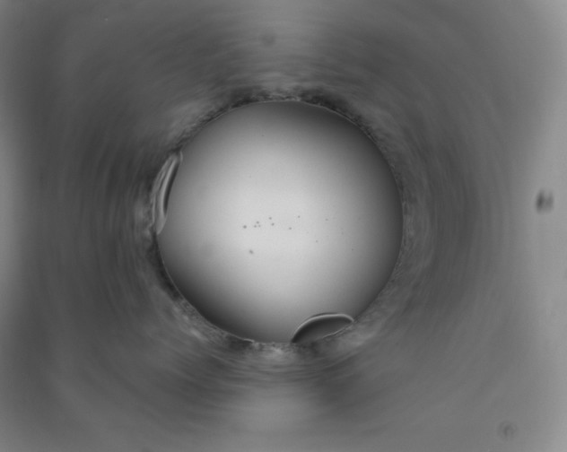 X0000090910768200708201741