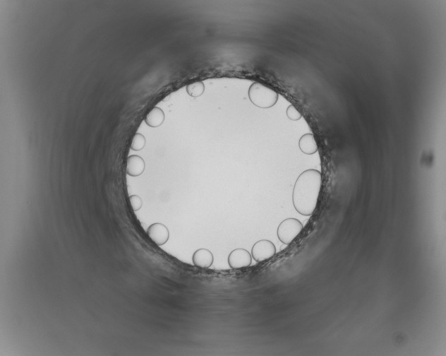 X0000090910769200708201740