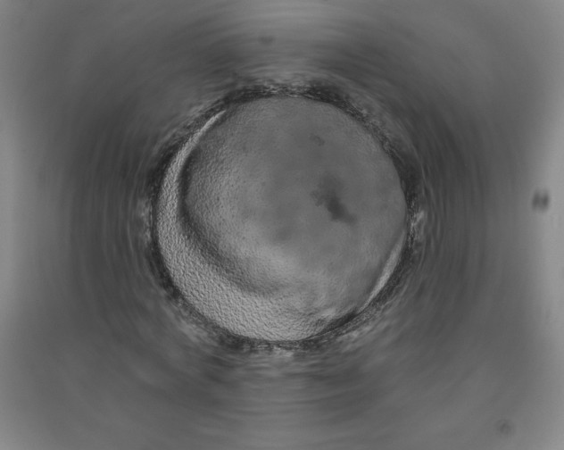 X0000090910772200708201740