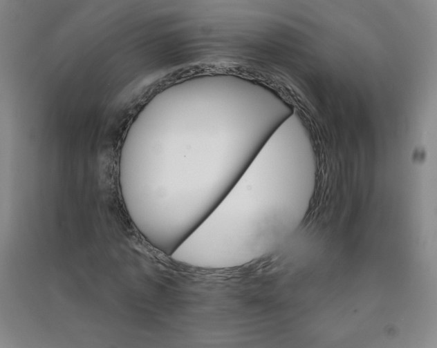 X0000090910773200708201740