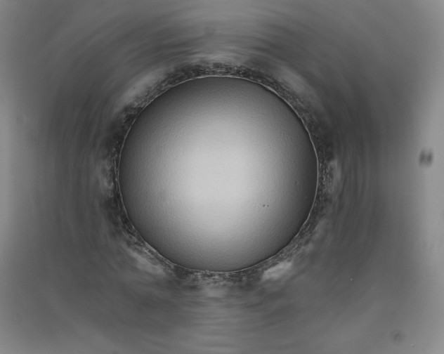 X0000090910774200708201740