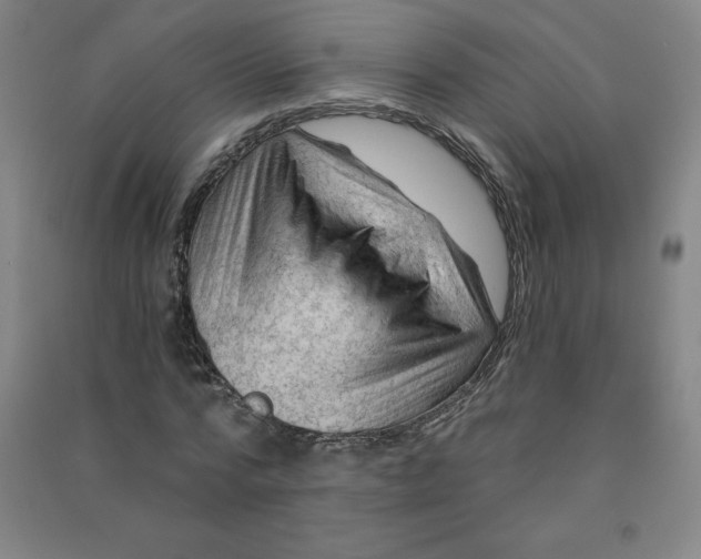 X0000090910776200708201740