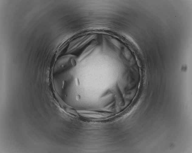 X0000090910777200708201740