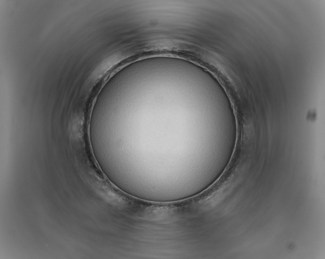 X0000090910778200708201740