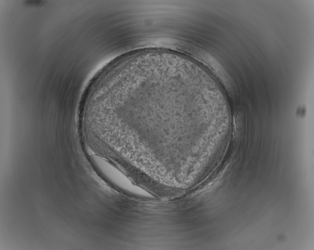 X0000090910780200708201740