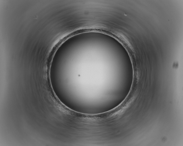 X0000090910781200708201740