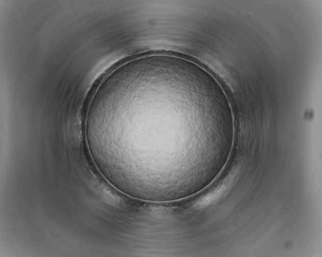 X0000090910782200708201740