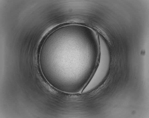 X0000090910784200708201740