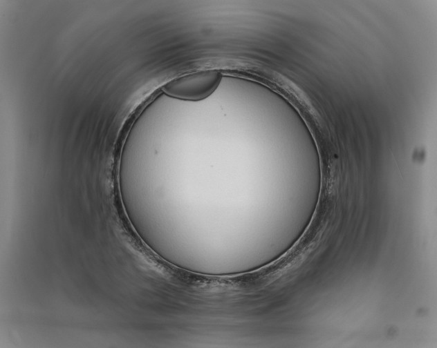 X0000090910786200708201740