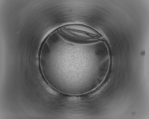 X0000090910789200708201740