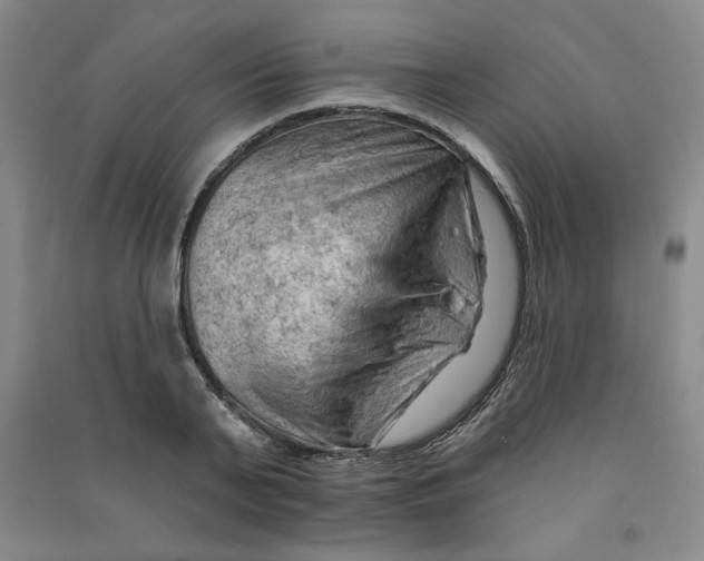 X0000090910791200708201740