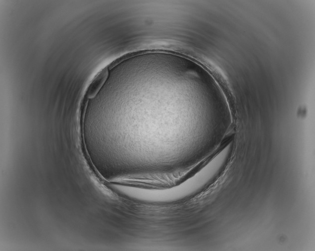 X0000090910792200708201740