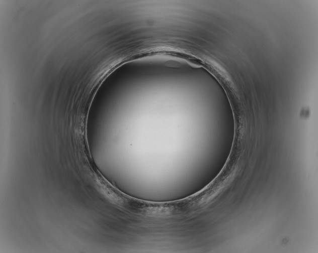 X0000090910793200708201740