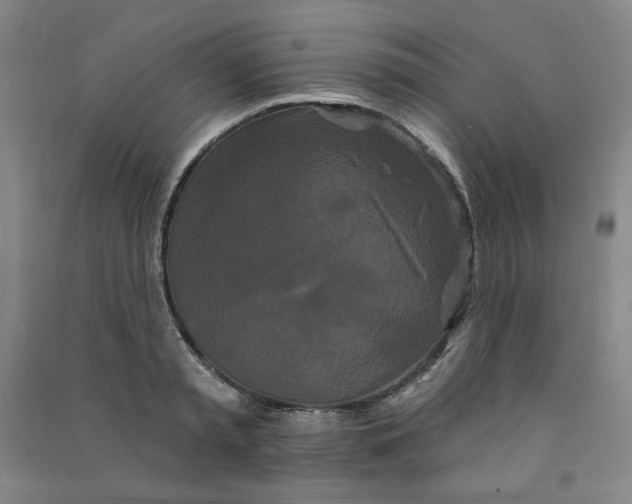 X0000090910797200708201740