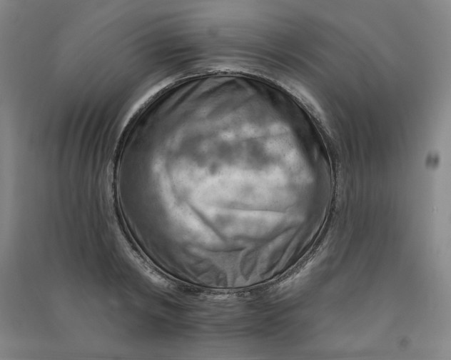 X0000090910798200708201740