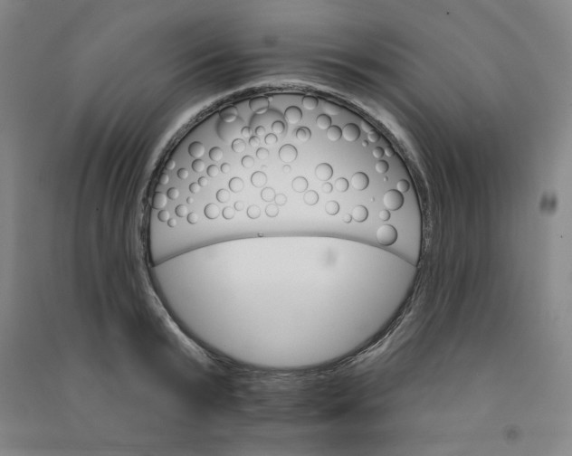 X0000090910799200708201740