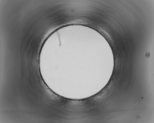 X0000090910800200708201740