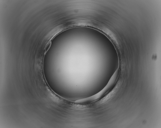 X0000090910801200708201740