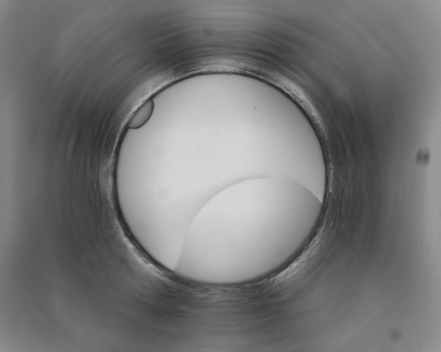 X0000090910802200708201740